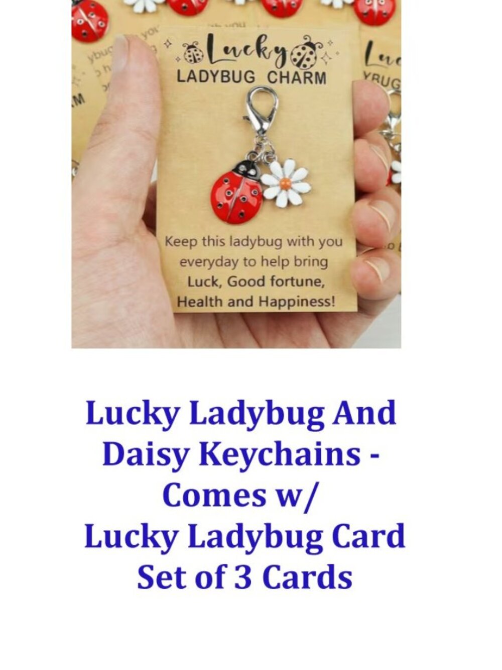 Lucky Ladybug And Daisy Keychains - Comes with Lucky Ladybug Card  Set of 3